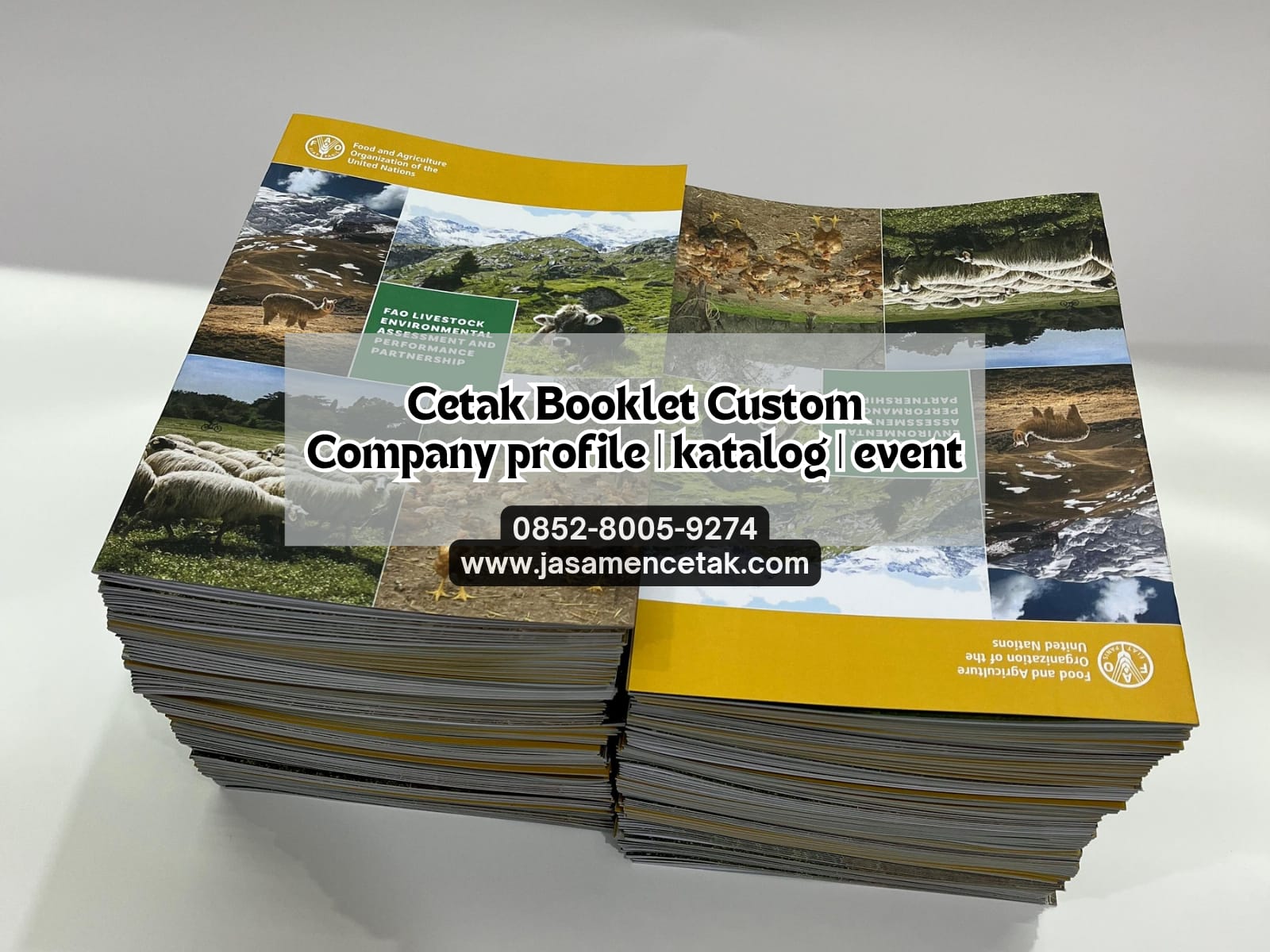 Cetak Booklet Custom untuk Company Profile & Event di Dyno Printing